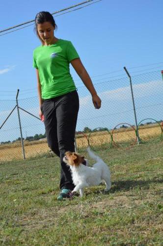 educazione (2) (1)